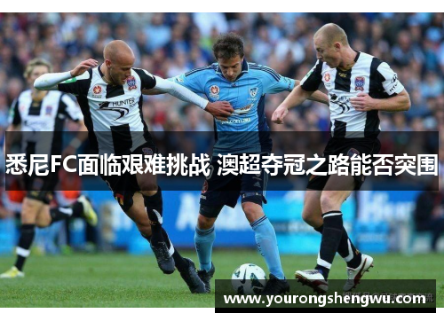 悉尼FC面临艰难挑战 澳超夺冠之路能否突围