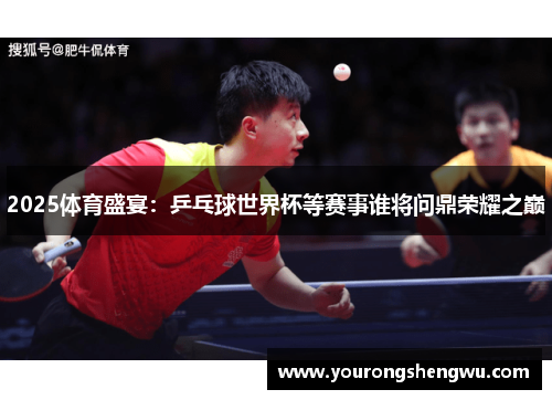2025体育盛宴：乒乓球世界杯等赛事谁将问鼎荣耀之巅