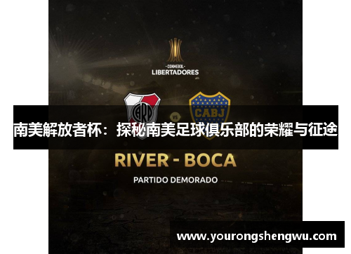 南美解放者杯：探秘南美足球俱乐部的荣耀与征途