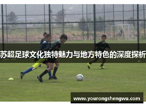 苏超足球文化独特魅力与地方特色的深度探析